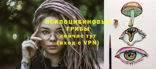 метадон Беломорск