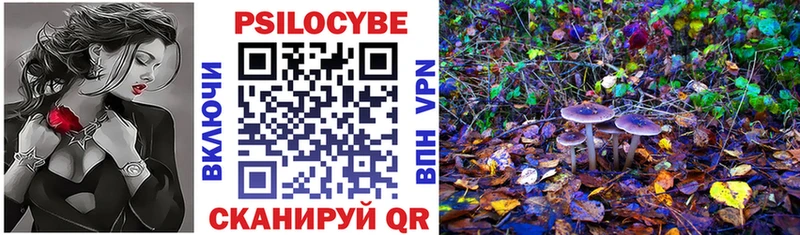 Купить закладки  Лысьва  Галлюциногенные грибы Psilocybe 